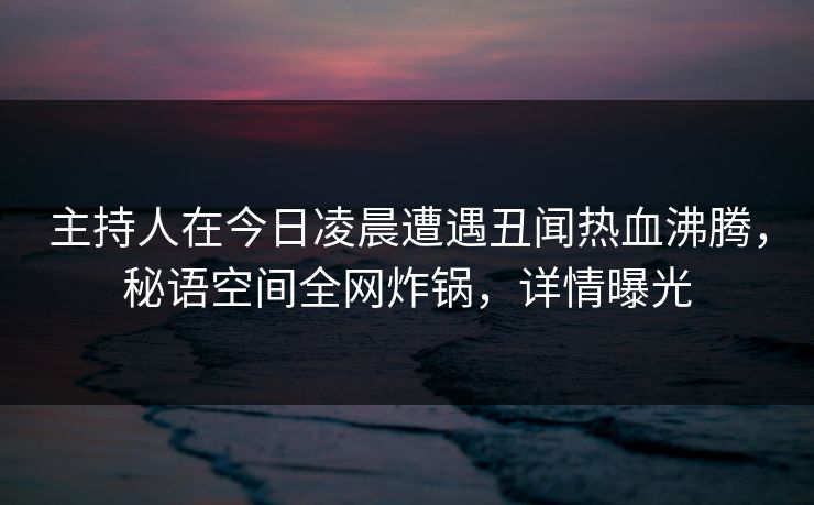 主持人在今日凌晨遭遇丑闻热血沸腾，秘语空间全网炸锅，详情曝光