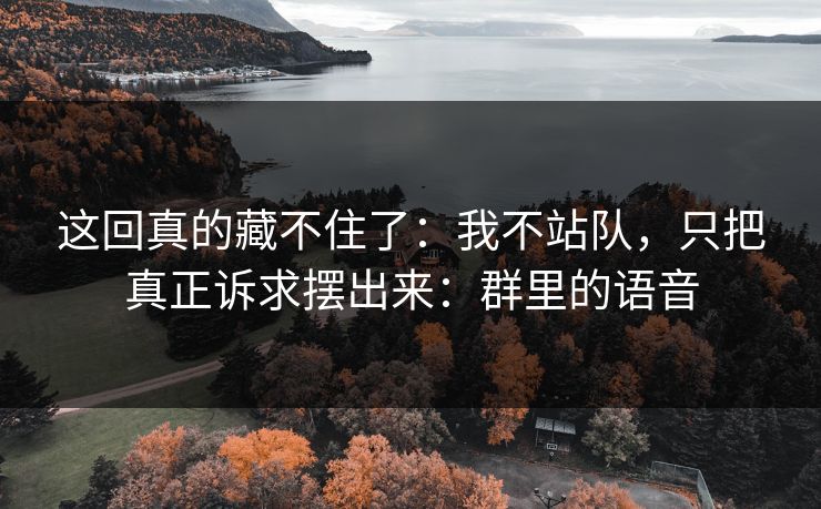 这回真的藏不住了：我不站队，只把真正诉求摆出来：群里的语音