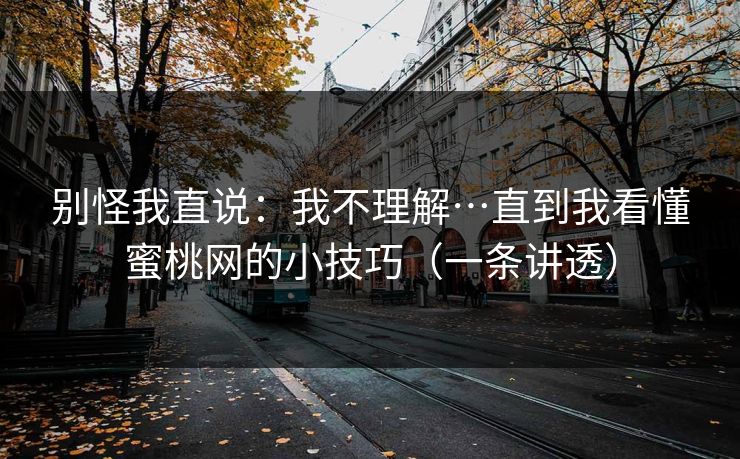 别怪我直说：我不理解…直到我看懂蜜桃网的小技巧（一条讲透）