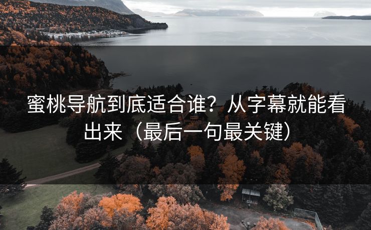 蜜桃导航到底适合谁?从字幕就能看出来(最后一句最关键)